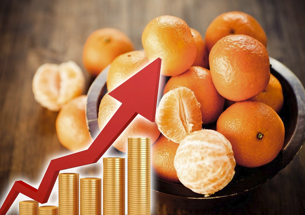 Названы причины роста цен на мандарины в России