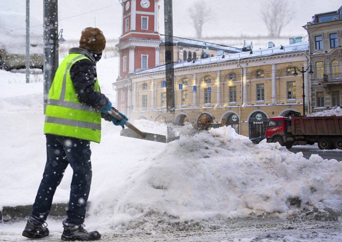 Эксперт из СОЦПРОФ высказался о причинах снежного коллапса в Петербурге