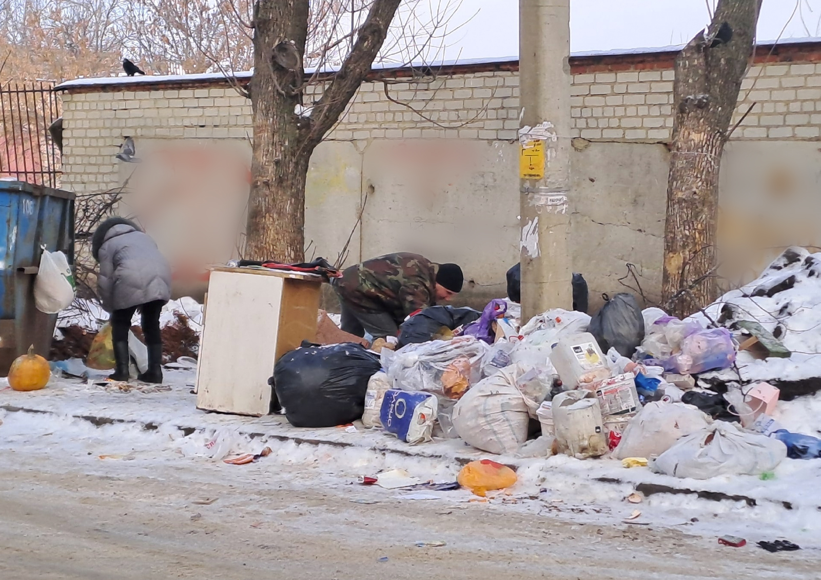 Жители Тамбовщины платят за уборку мусора, а получают помойки?
